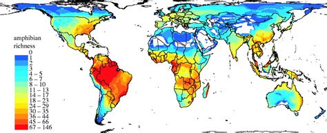 What Is The General Global Pattern Of Species Richness Chartdevelopment