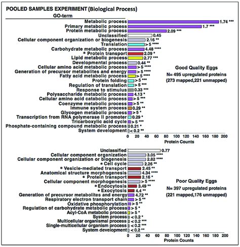 Enrichment Of Biological Process Gene Ontology GO Terms With Proteins