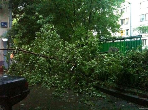 UrixBlog.com » о погоде