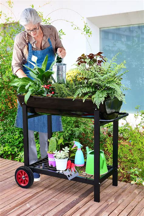 Arlmont Co Boîte à fleurs surélevée en métal sur roulettes avec