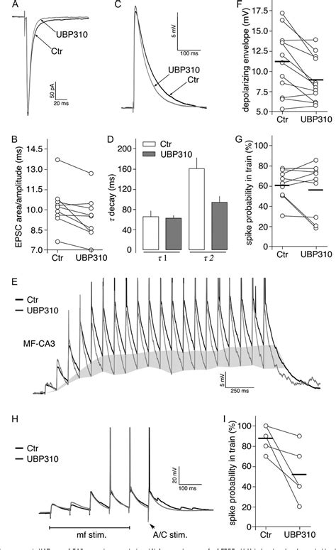 Figure From Selective Block Of Postsynaptic Kainate Receptors Reveals