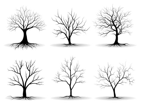 Black Branch Tree Or Naked Trees Silhouettes Set Hand Drawn Isolated Illustrations 18976645