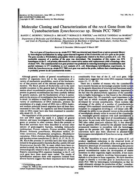 PDF Molecular Cloning Characterization Of RecA Gene Fro Strains