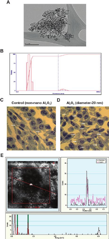 Characterization Of Alumina Nanoparticles A And B Transmission