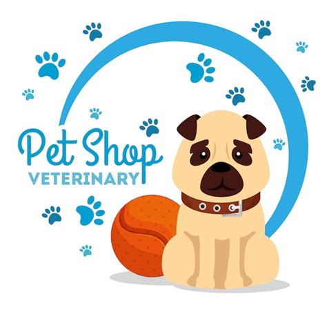 Pet shop veterinário cachorro e bola Vetor Premium