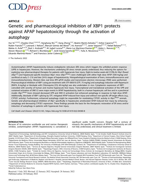 Pdf Genetic And Pharmacological Inhibition Of Xbp Protects Against