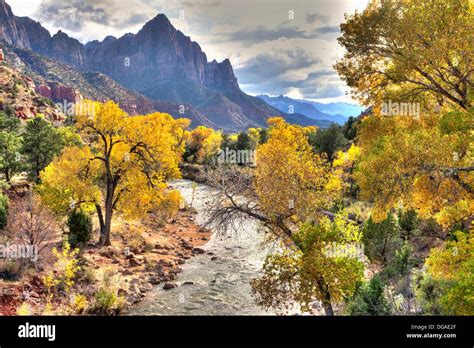 North Fork Virgin River Zion National Park Utah Usa Stock Photo Alamy