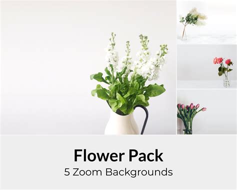 Flower Wall Zoom Background Office Pack II for Virtual - Etsy Canada