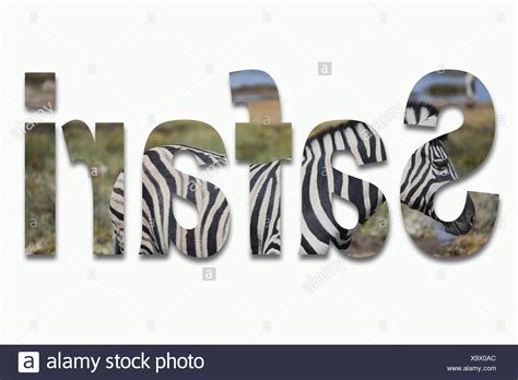 Wild Animal Font