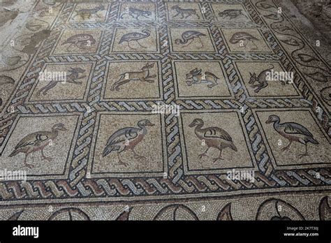 Detalle del piso de mosaico de la época bizantina que fue descubierto