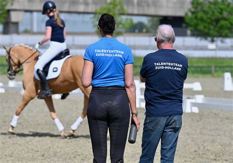 Talent Ontwikkeling Paardensport KNHS Zuid Holland