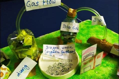 Science Project Ideas for Students: Top 6 Ideas - International School ...