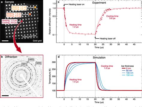 Figure From Rapid Melting And Revitrification As An Approach To