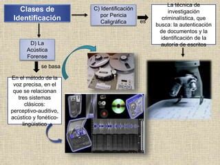 Sistema De Investigacion De Personas Ppt