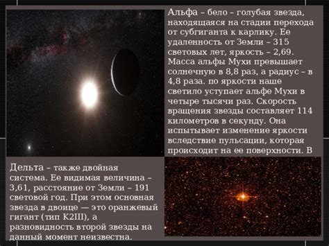 Проект : "Созвездие "Муха"" (4 класс) - начальные классы, презентации