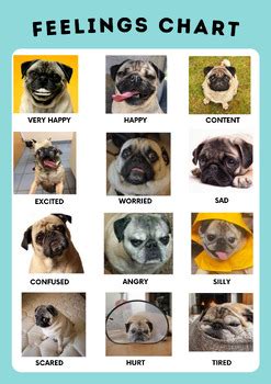 Pug Emotion Chart by Mikaela Rath | TPT