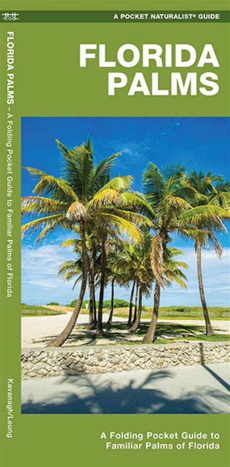 Florida Palms A Folding Pocket Guide To Familiar Palms Of Florida