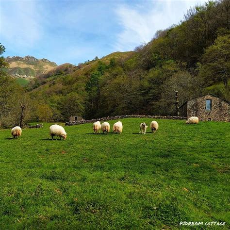 D As Para Disfrutar Del Entorno De La Estancia De Paseos De