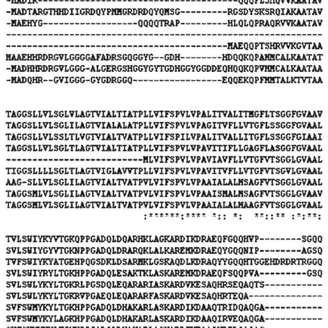 Clustal W Version 1 8 Multiple Sequence Alignment Of The Amino Acid