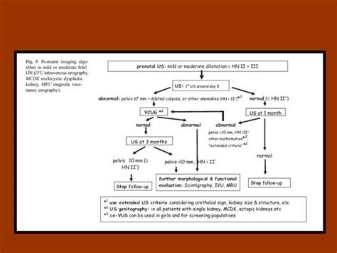 Neonatal Hydronephrosis