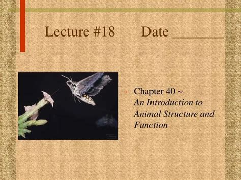 Ppt Lecture 18 Date Powerpoint Presentation Free Download