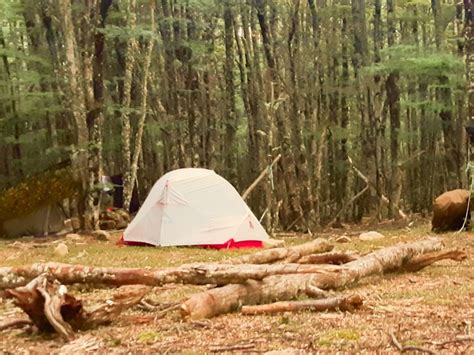 Day Bushcraft Course Oenz Outdoor Education New Zealand Ltd