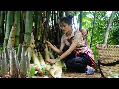 Harvesting Bamboo Shoots Go To The Marketsell How To Process And Make