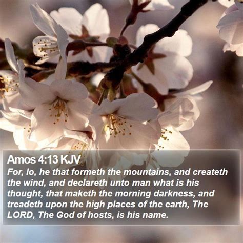 Amos Scripture Images Amos Chapter Kjv Bible Verse Pictures