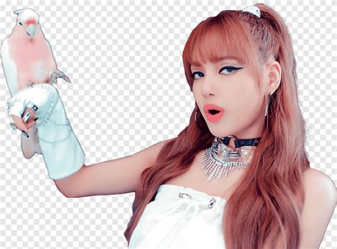 BLACKPINK DDU DU DDU DU Blackpink Lalisa Manoban Png PNGEgg