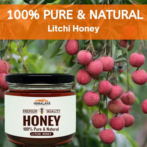 Himalaya Natural 100 Pure Litchi Honey The Ayurveda Movement