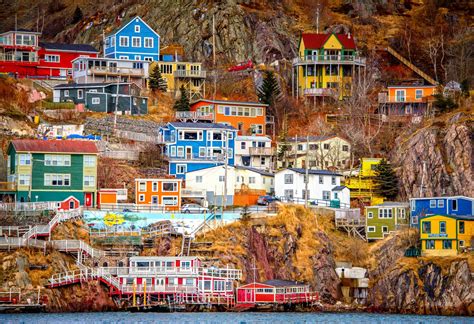 Онлайн пазл «Ньюфаундленд»