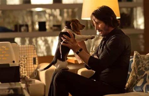 'John Wick' Directors Had To Fight To Kill Off The Dog In First Movie