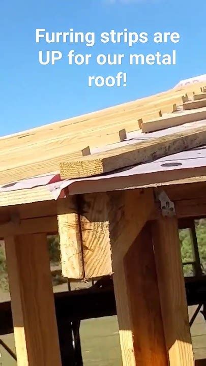 All The Furring Strips Are Up For Our Metal Roof Naturalbuilding Metalroof Youtube