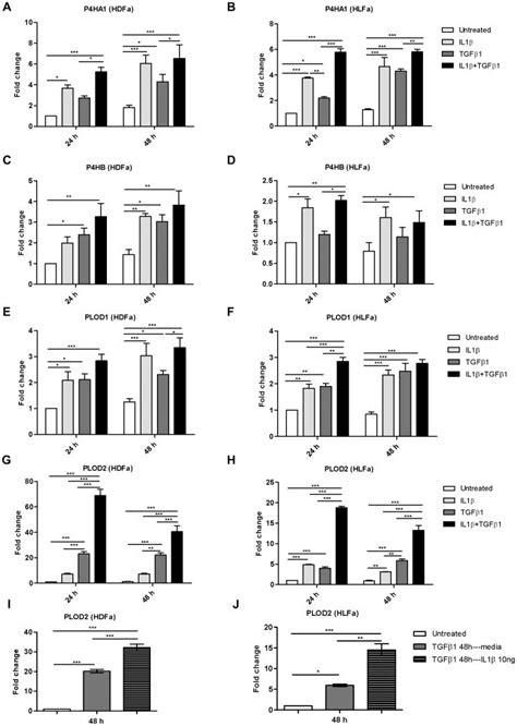 Ah Hdfa And Hlfa Were Treated With Il Tgf Or A Combination Of