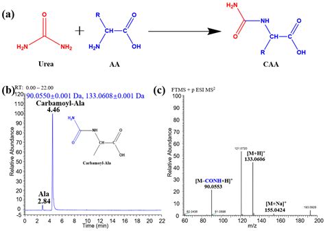 A Practical Method For Amino Acid Analysis By Lc Ms Using Precolumn Derivatization With Urea