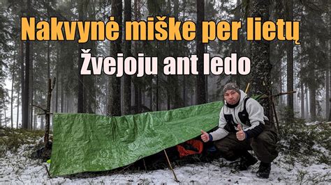 Nakvynė Miške žvejoju Ant Ledo Youtube