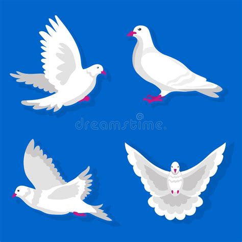 White dove vector stock vector. Illustration of pigeon - 32796503