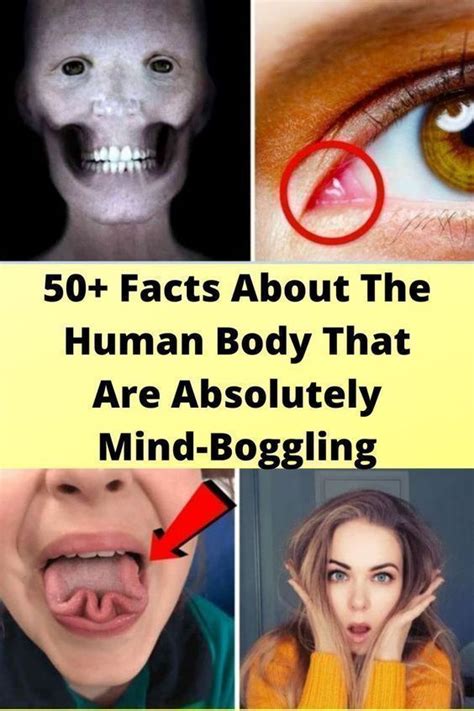 Facts about the human body that are absolutely mind boggling – Artofit