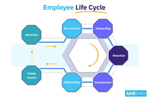 Employee Life Cycle: The Ultimate Guide for HR - AIHR