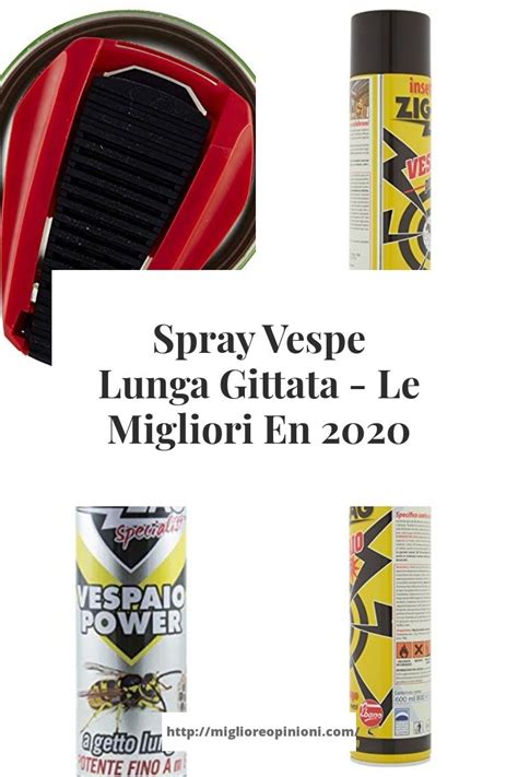 Spray Vespe Lunga Gittata Le Migliori En Calabrone Vespa Spray