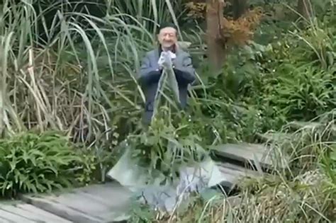 Плащ-невидимка – как работает технология, где купить - SteepMEN