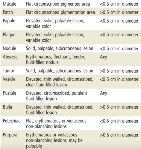 Nr283 Chapter 8 Skin Disorders Flashcards Quizlet