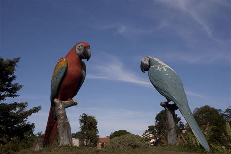Parque Das Araras Foz Do Iguaçu