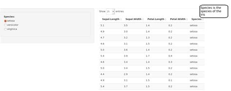 R How Can You Add An Explanation To Shiny Datatable Column Stack