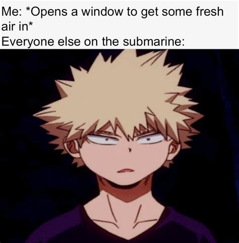 Bakugou My Hero Academia Memes There Are Two Types Of Animators
