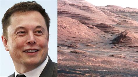 Elon Musk Unveils Ambitious Mars Colonization Plan Fox News