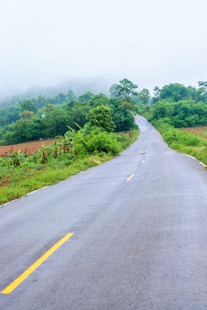 Premium Photo | Mist and fog on the way in the mountains