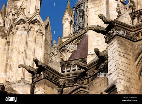 Amiens cathedral gargoyles Stock Photo - Alamy