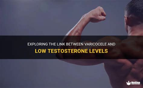 Exploring The Link Between Varicocele And Low Testosterone Levels Medshun