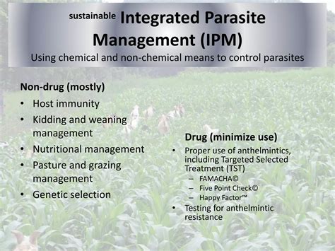 Sustainable Integrated Parasite Management Ppt